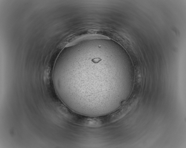 X0000115260275200911131753