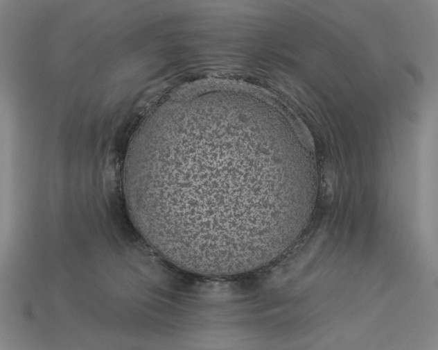X0000115260276200911131753
