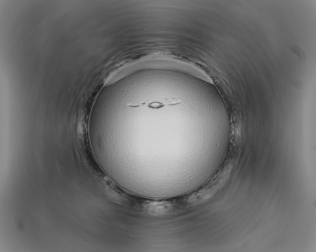 X0000115260277200911131753