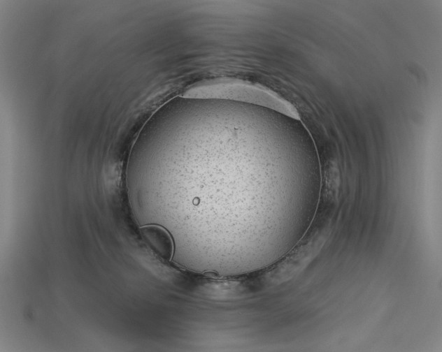 X0000115260278200911131753