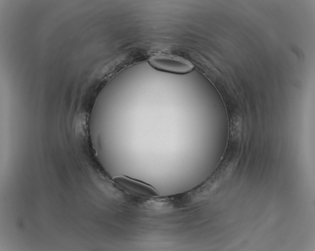 X0000115260280200911131753