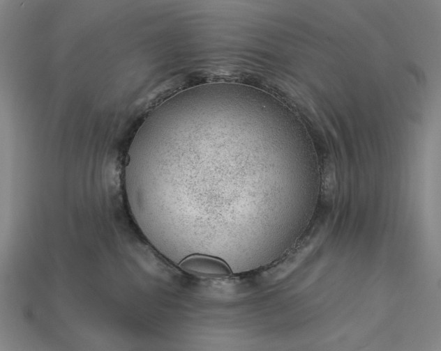 X0000115260282200911131753