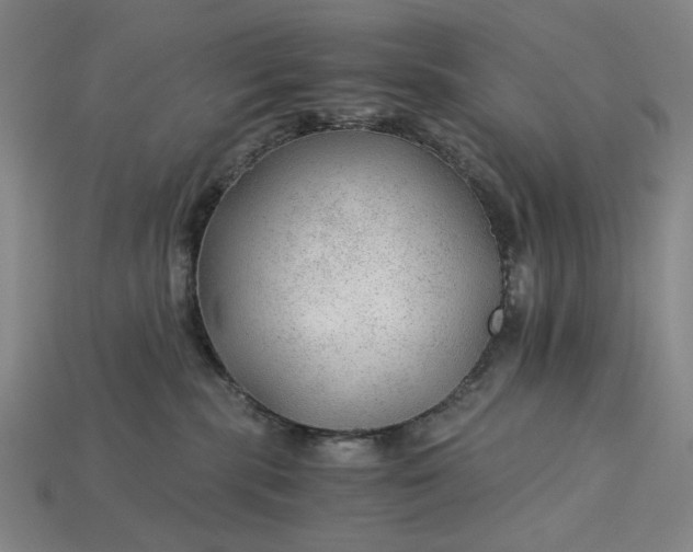 X0000115260283200911131753
