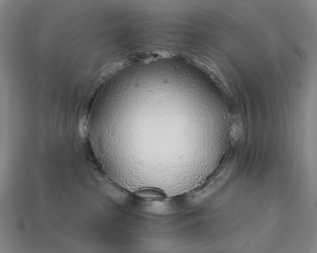 X0000115260285200911131753