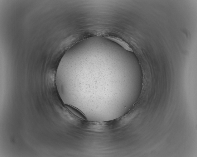 X0000115260288200911131753