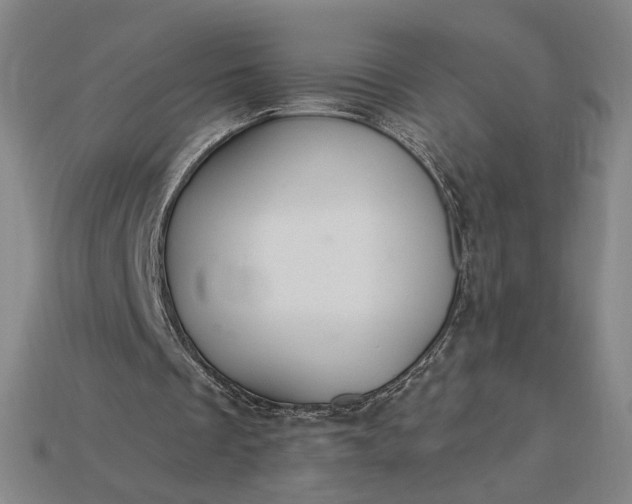 X0000115260289200911131752