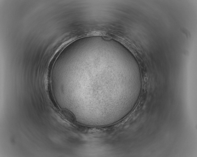 X0000115260290200911131752