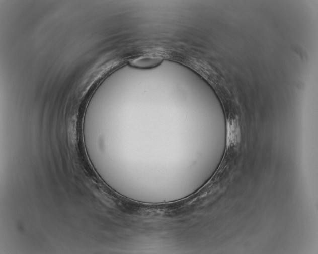 X0000115260291200911131752