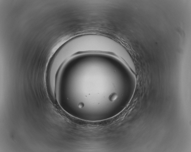 X0000115260292200911131752