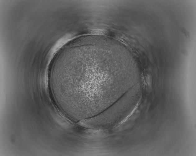 X0000115260294200911131752