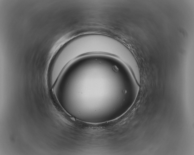 X0000115260296200911131752