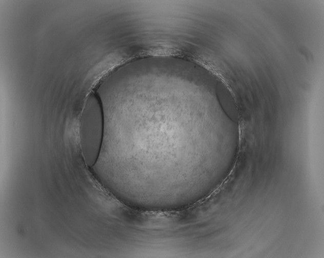 X0000115260297200911131752