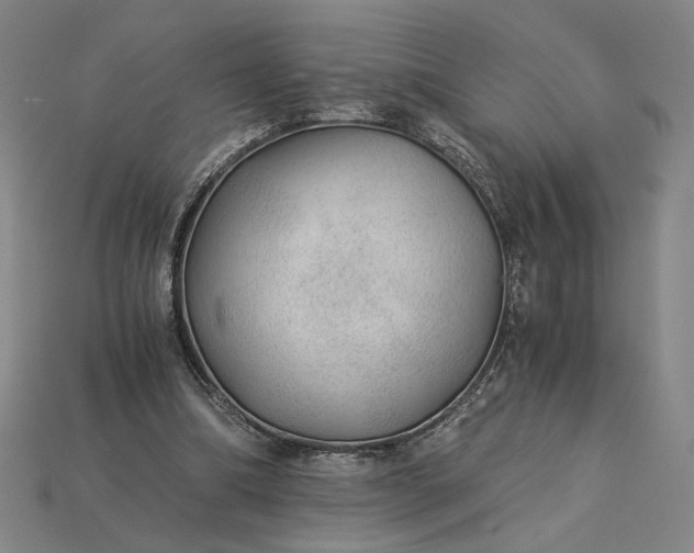 X0000115260298200911131752
