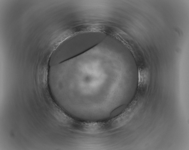 X0000115260301200911131752