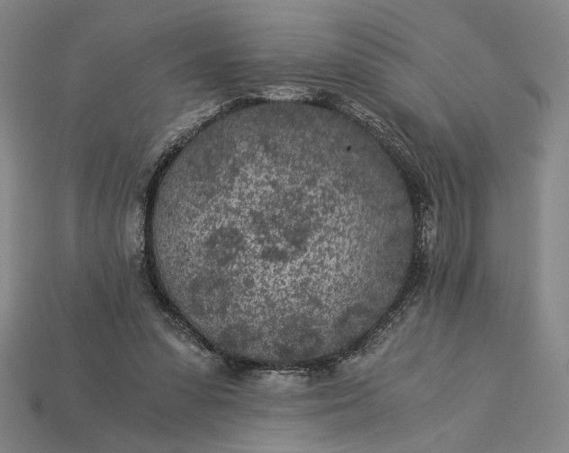 X0000115260303200911131752