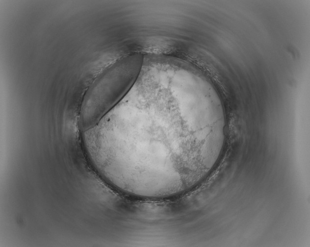 X0000115260305200911131752