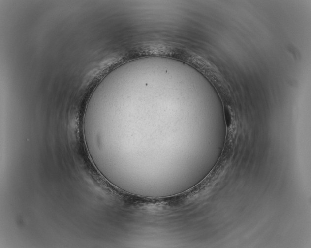 X0000115260306200911131752