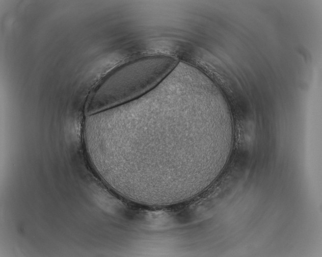 X0000115260309200911131752