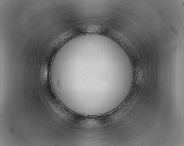X0000115260310200911131752