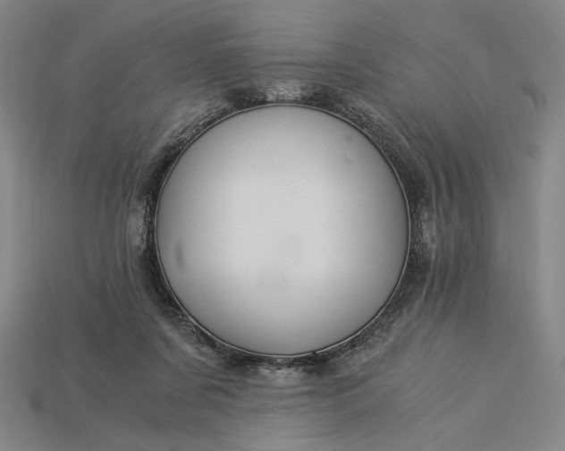X0000115260311200911131752