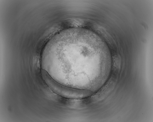 X0000115260313200911131752