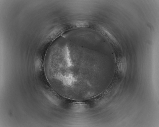 X0000115260316200911131752