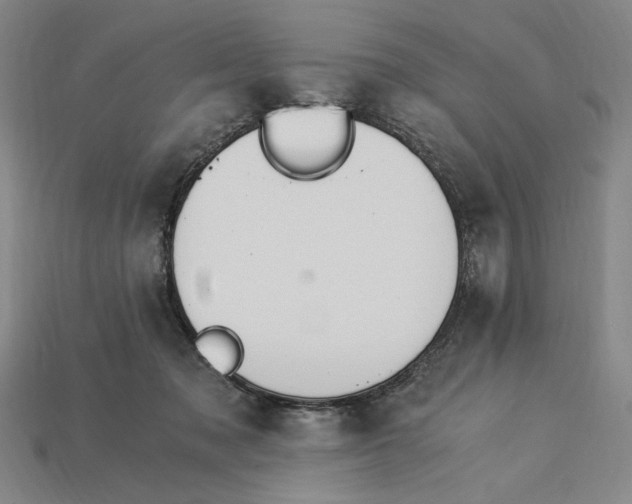 X0000115260317200911131752