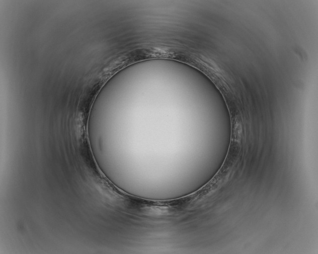 X0000115260318200911131752