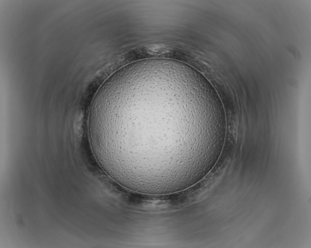 X0000115260319200911131752
