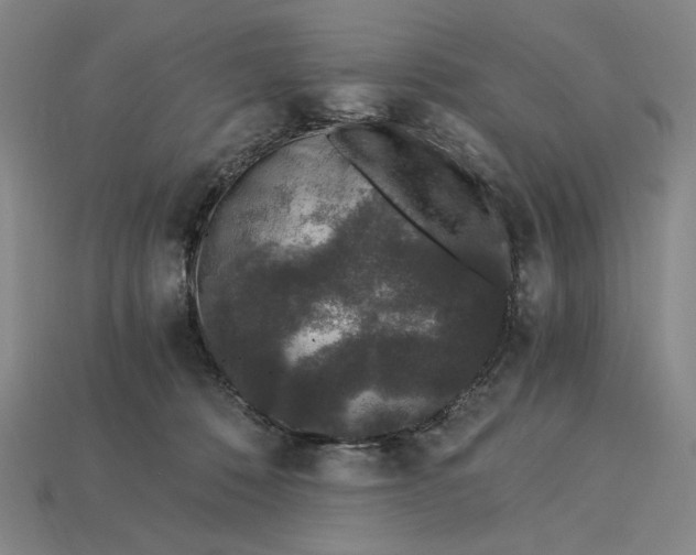 X0000115260320200911131752