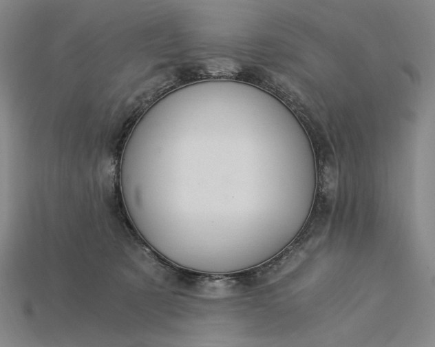 X0000115260321200911131752