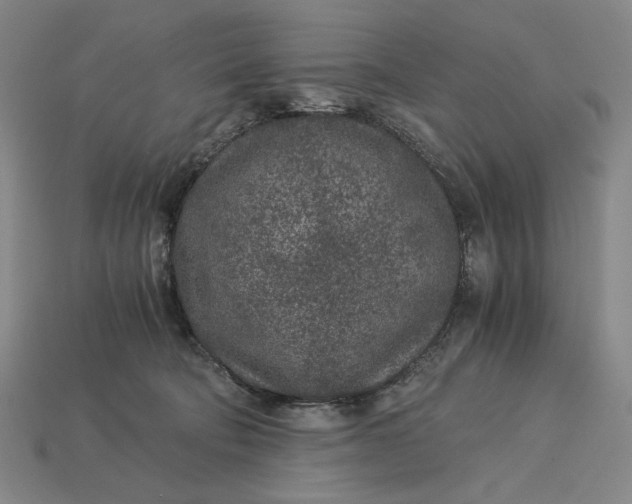 X0000115260322200911131752