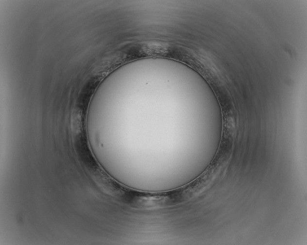 X0000115260323200911131752