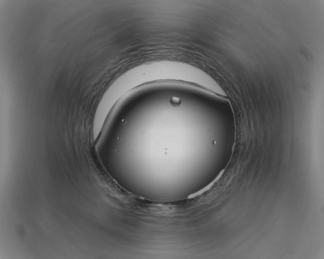 X0000115260328200911131751