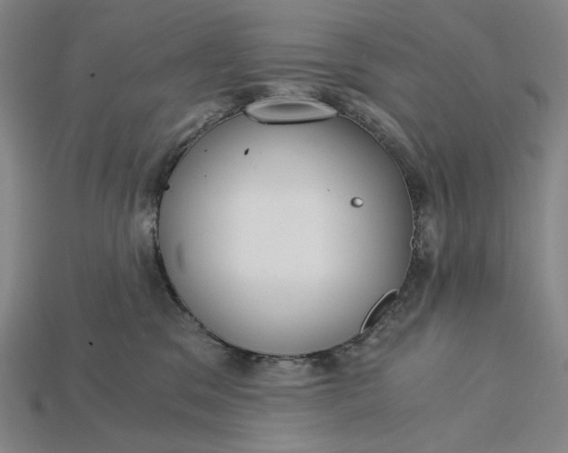 X0000115260329200911131751