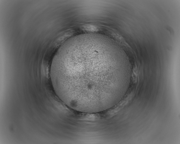 X0000115260330200911131751