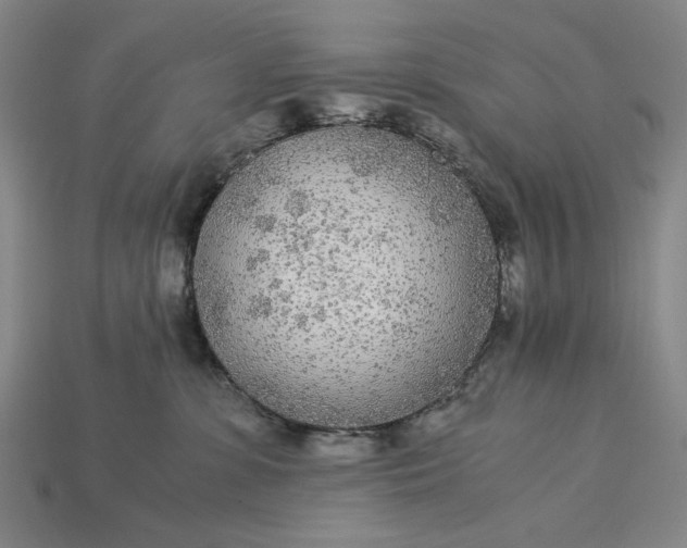 X0000115260331200911131751