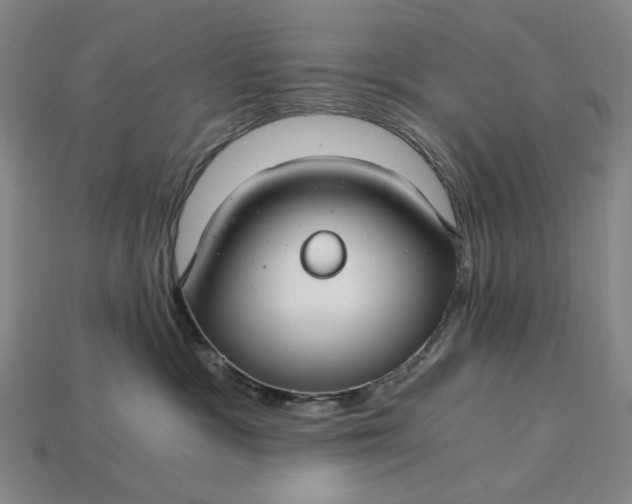 X0000115260333200911131751
