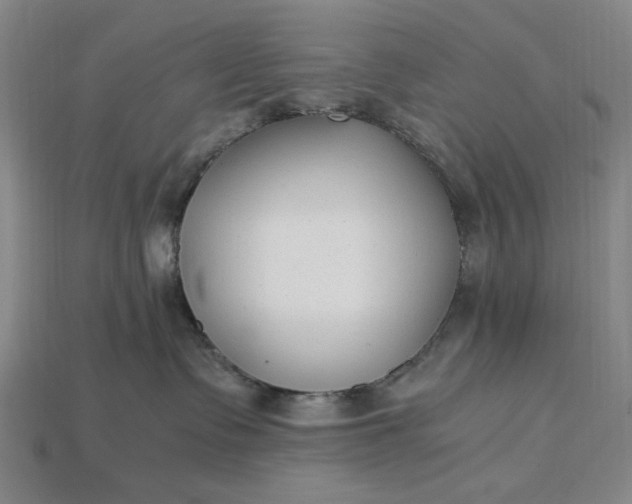 X0000115260335200911131751