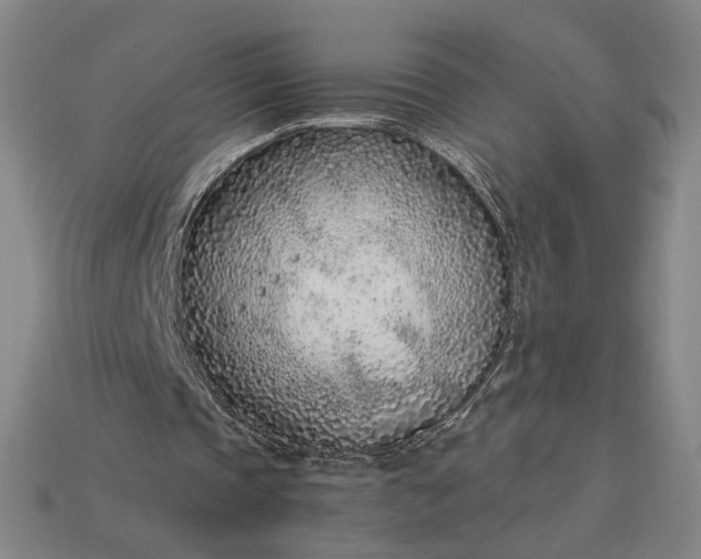 X0000115260337200911131751