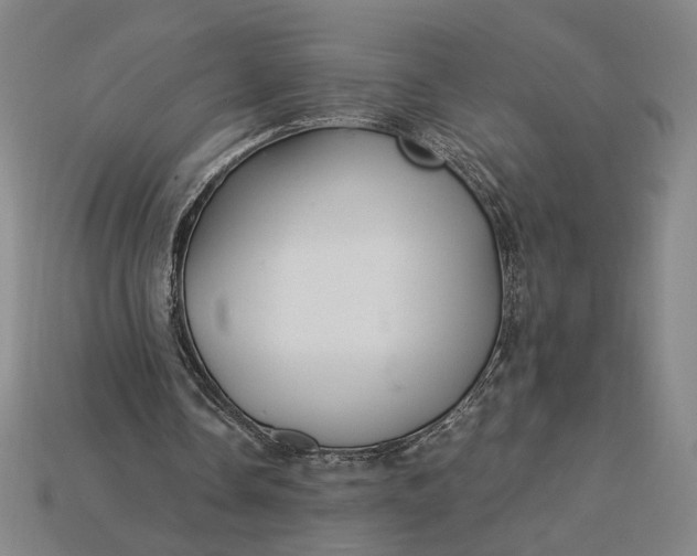 X0000115260338200911131751