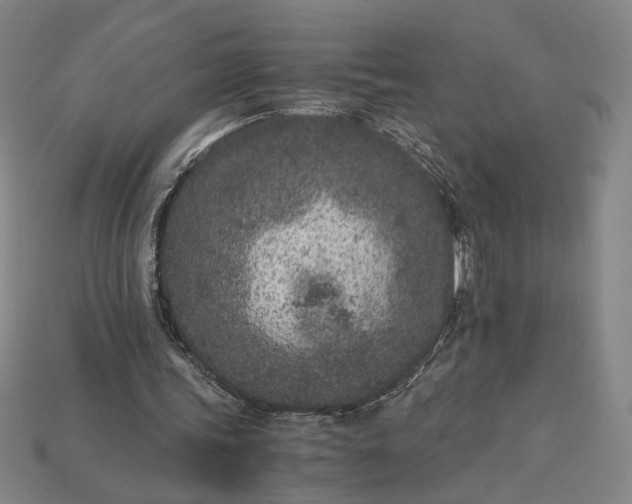 X0000115260339200911131751