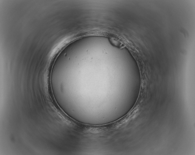 X0000115260341200911131751