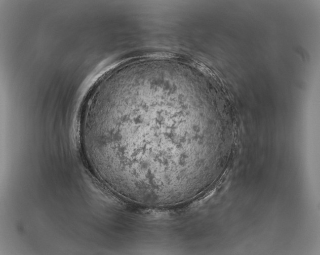 X0000115260343200911131751