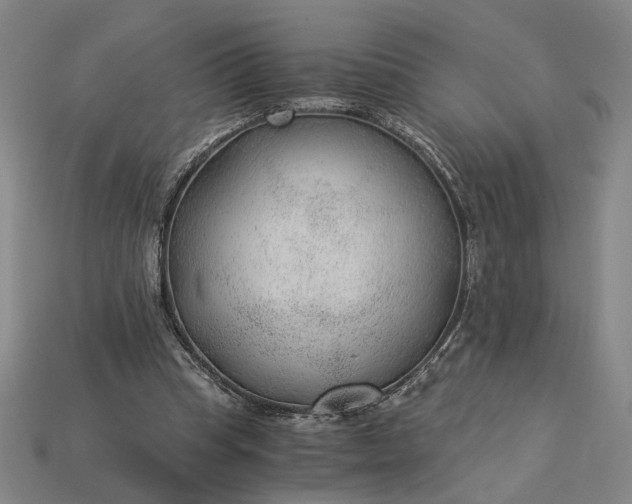 X0000115260345200911131751