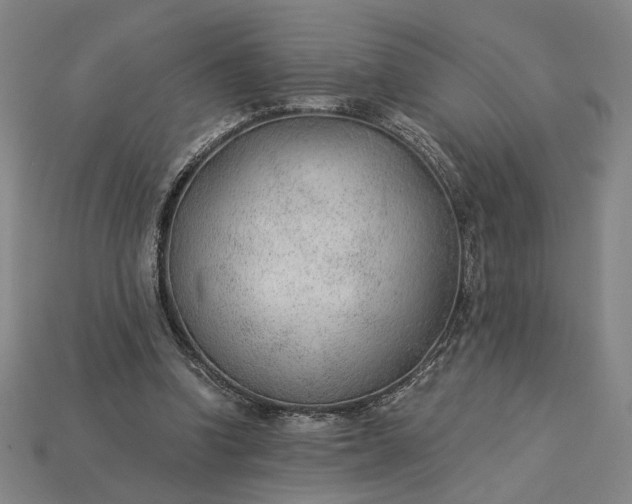 X0000115260346200911131751