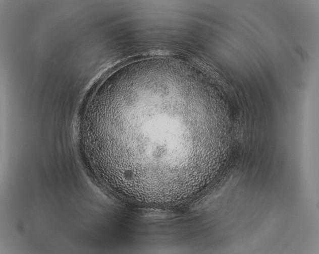 X0000115260347200911131751