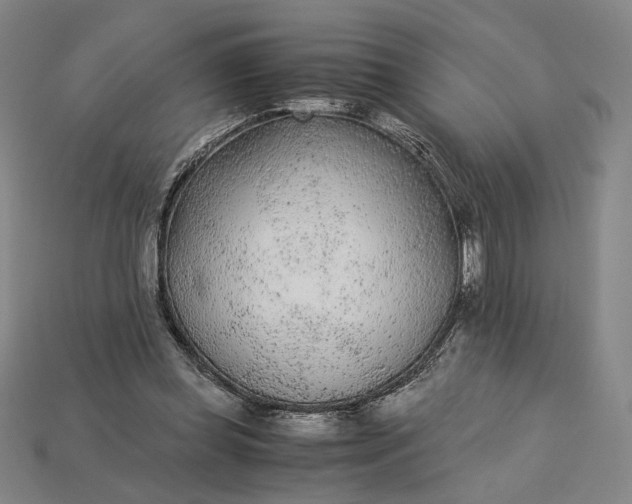 X0000115260349200911131751