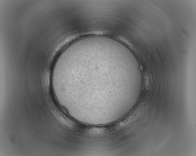 X0000115260350200911131751