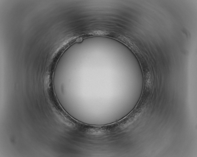 X0000115260351200911131751